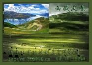 西藏加氣磚設(shè)備